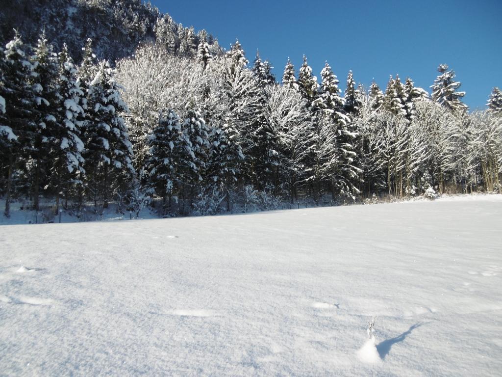 Ferienwohnung Zillertal Bacher 쉴리테르스 외부 사진
